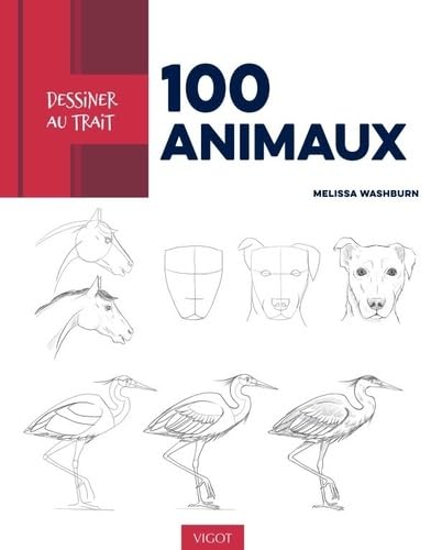 Dessiner au trait 100 animaux: Des modèles pas à pas pour apprendre à dessiner les animaux en mouvement Hobbies & Crafts