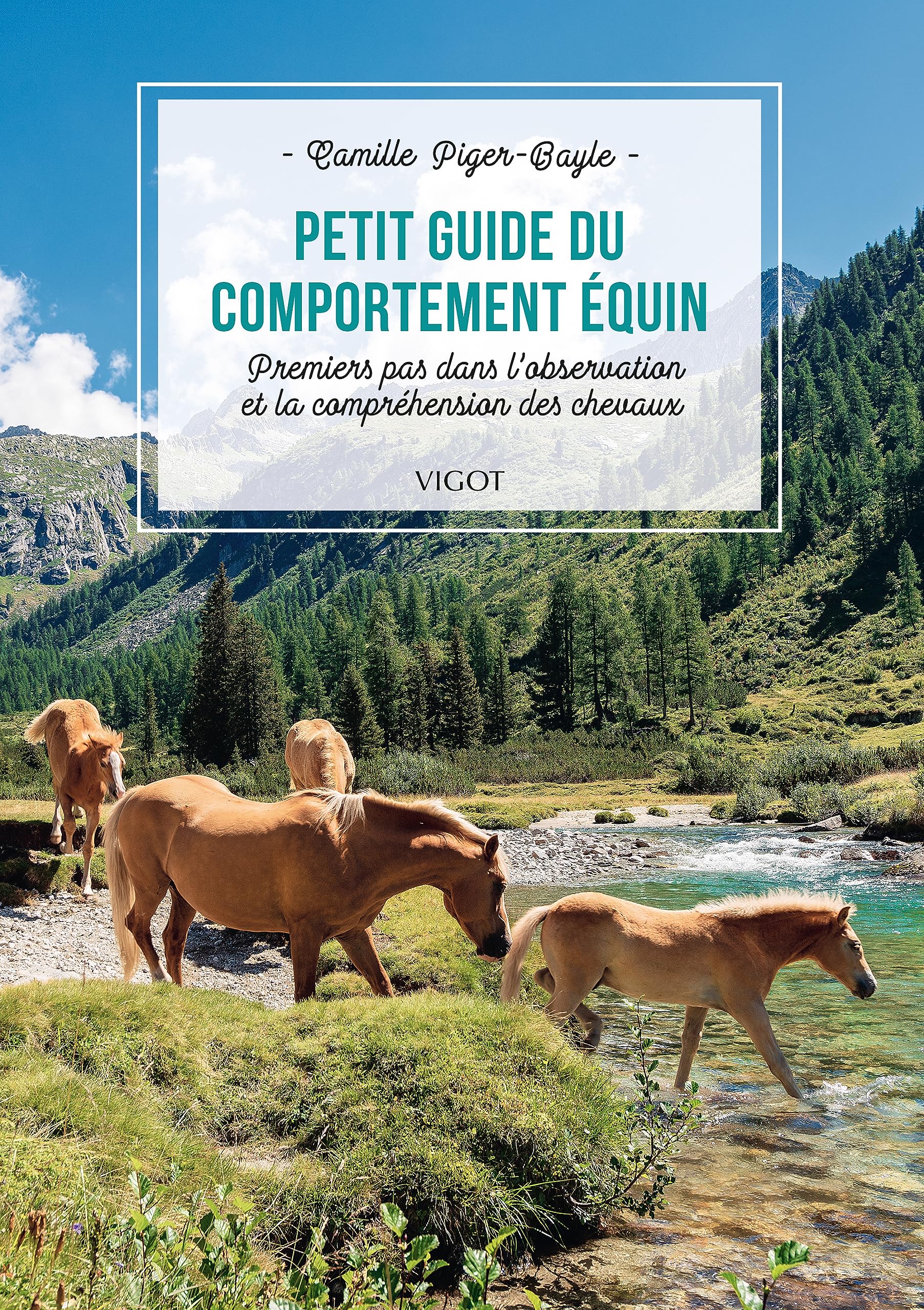 Petit guide du comportement équin: Premiers pas dans l'observation et la compréhension des chevaux Leisure & Fun
