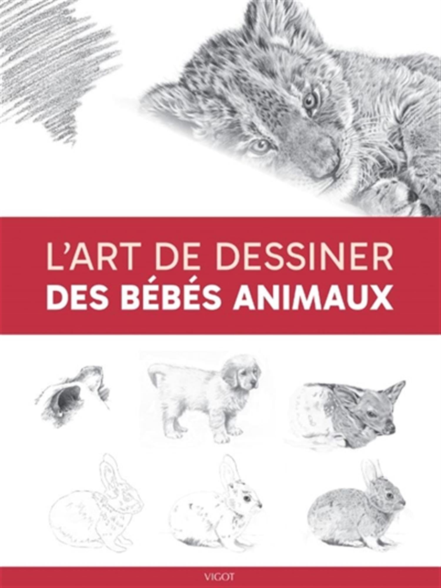 L'art de dessiner des bébés animaux Hobbies & Crafts