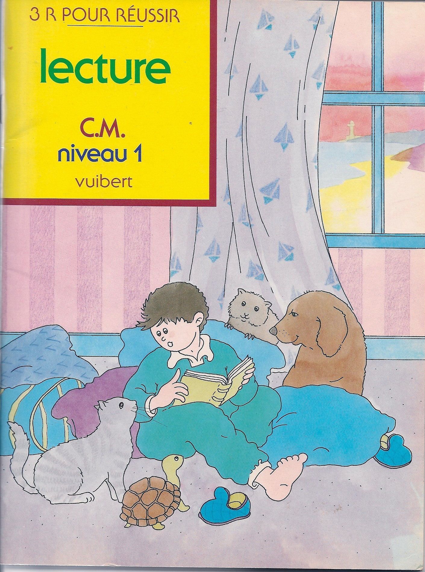 Cahier de lecture cours moyen niveau 1 book