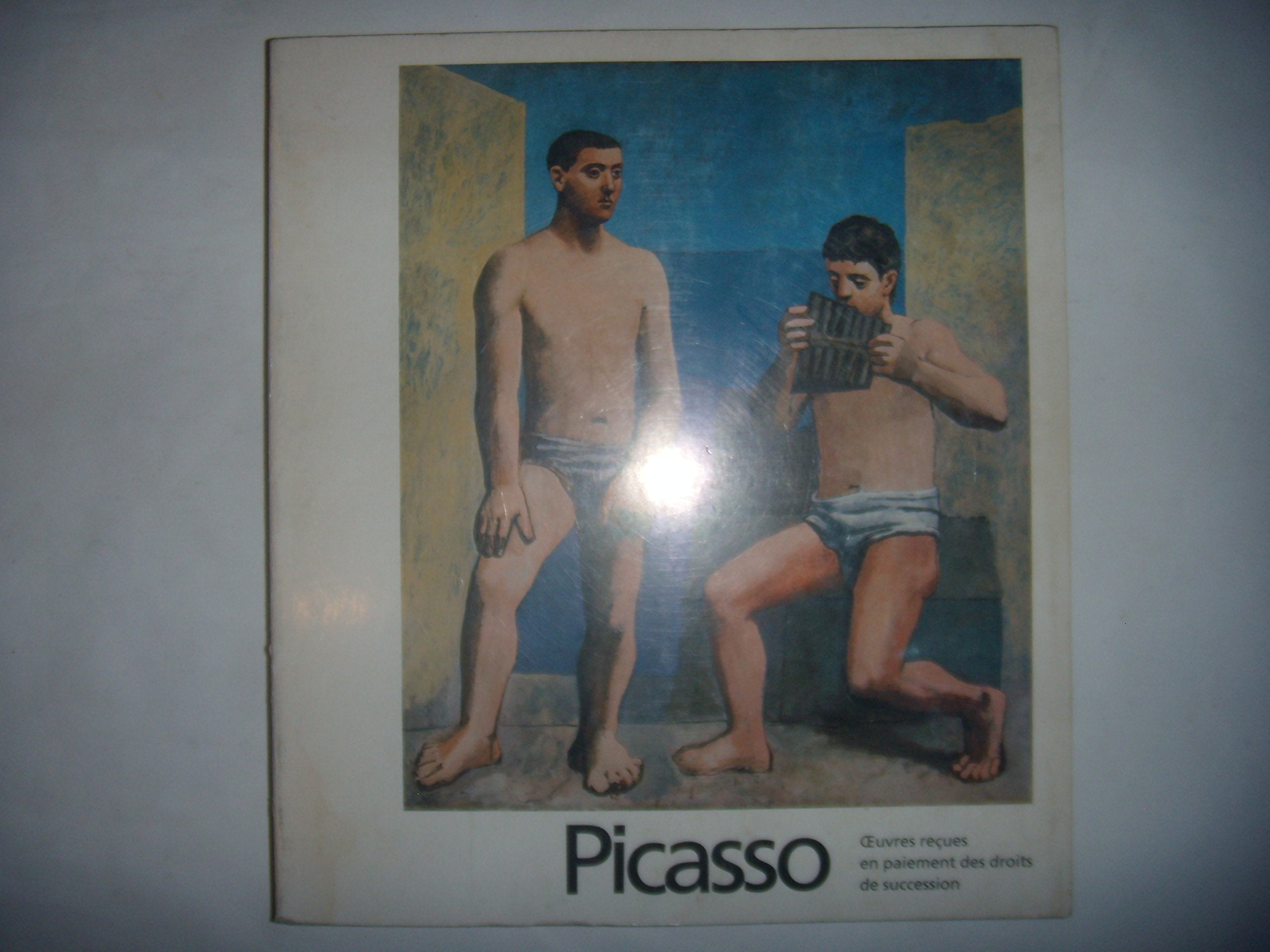 Picasso: Oeuvres reçues en paiement des droits de succession book
