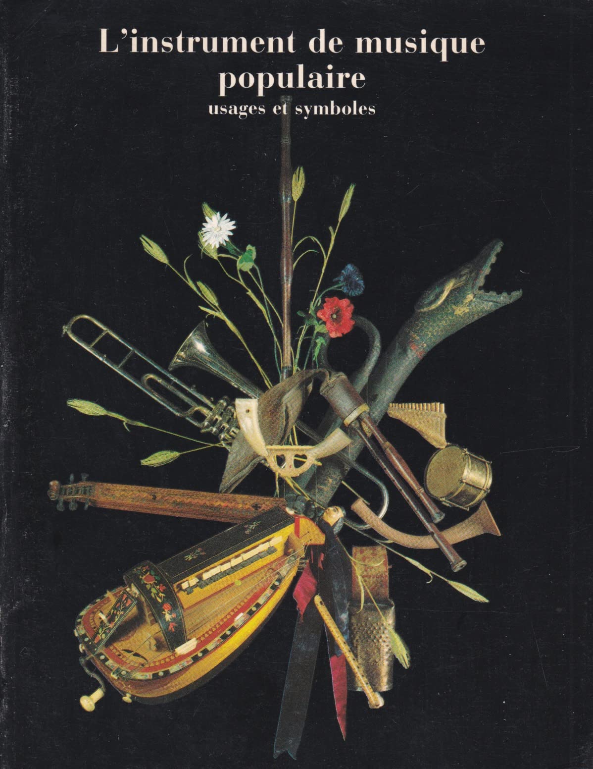 L'instrument de musique populaire: Usages et symboles. Exposition, Musée national des arts et traditions pupulaires, nov. 1980-avil 1981 book