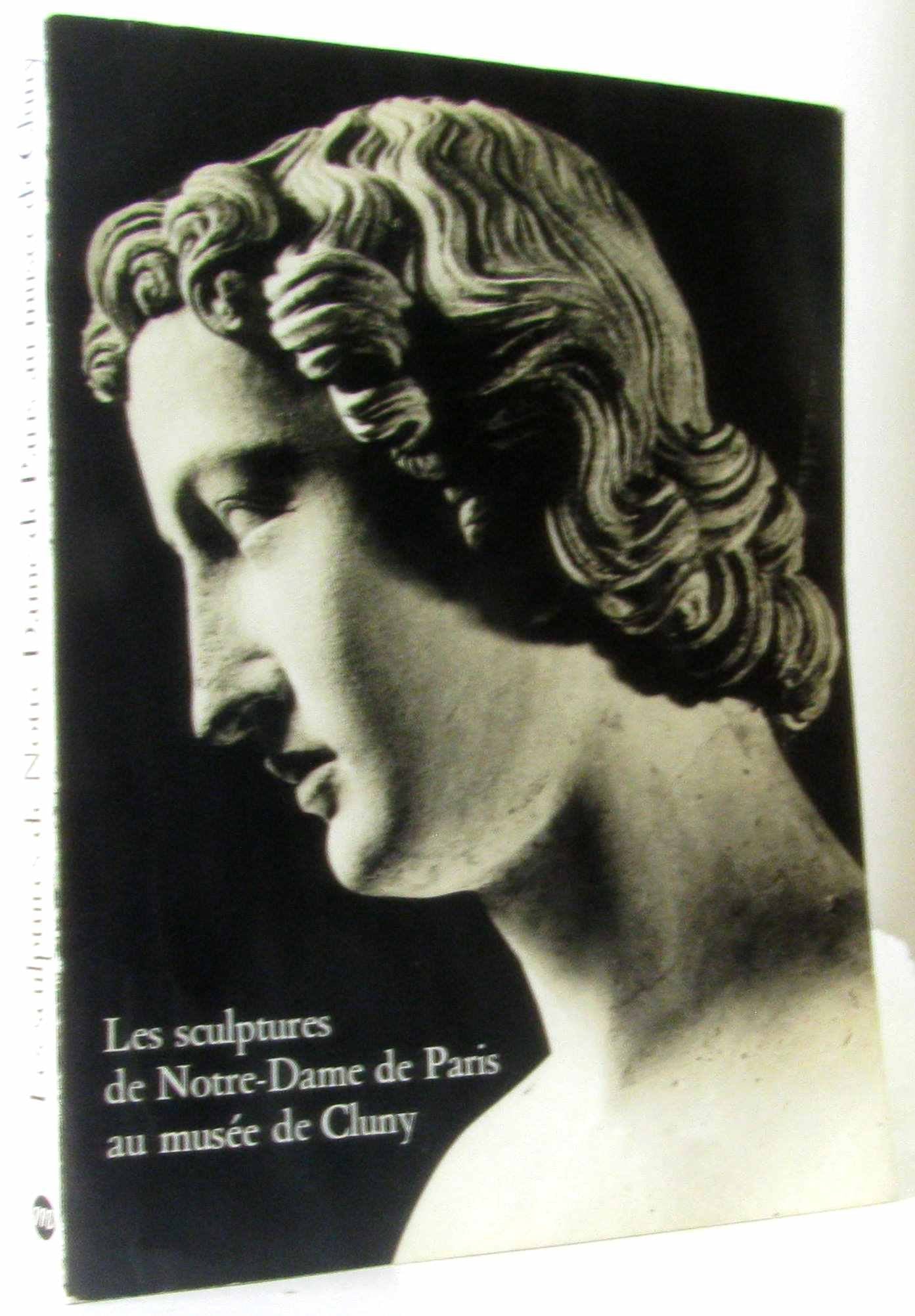 Les Sculptures de Notre-Dame de Paris au musée de Cluny Books