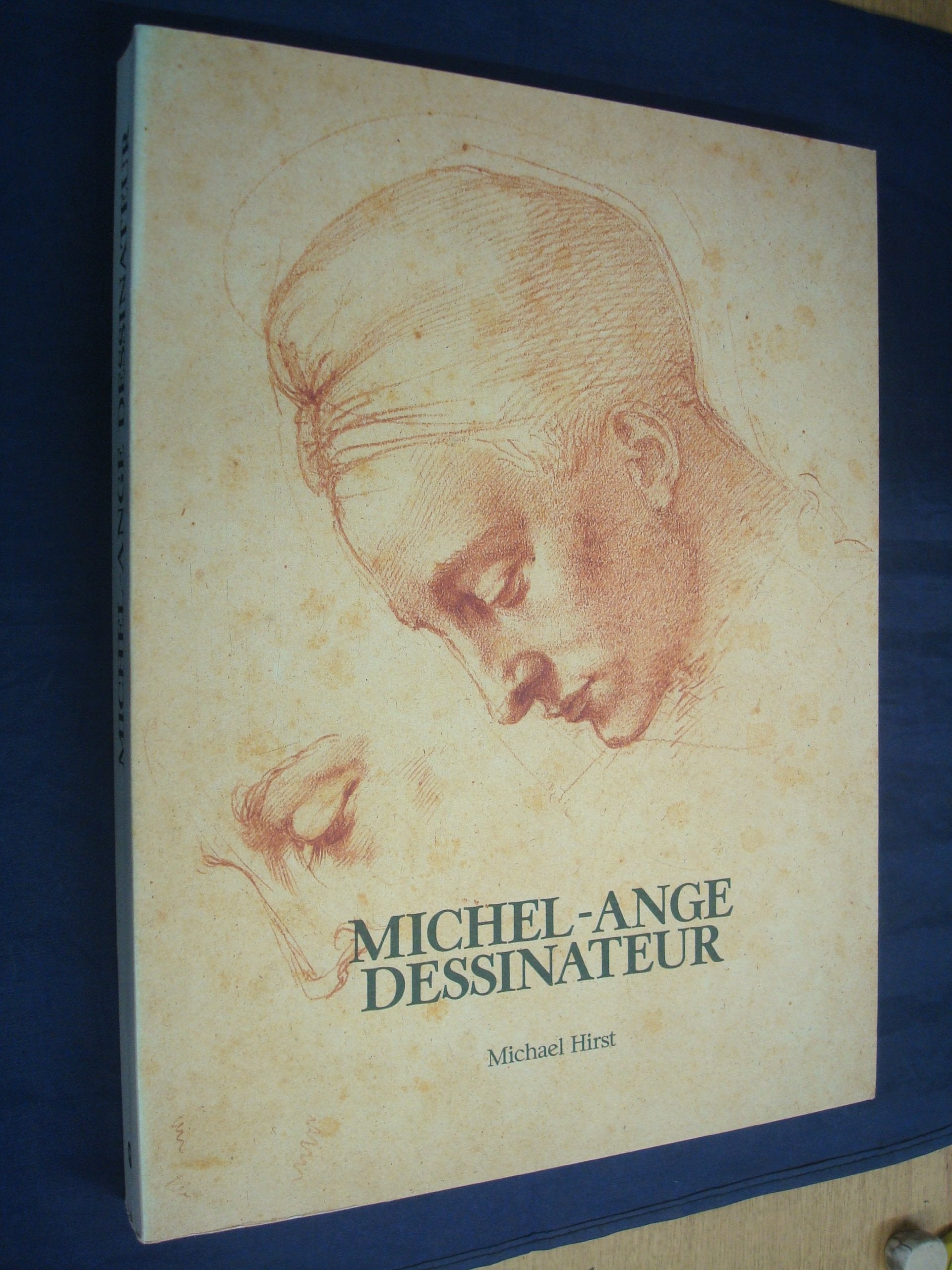 Michel-Ange dessinateur Books