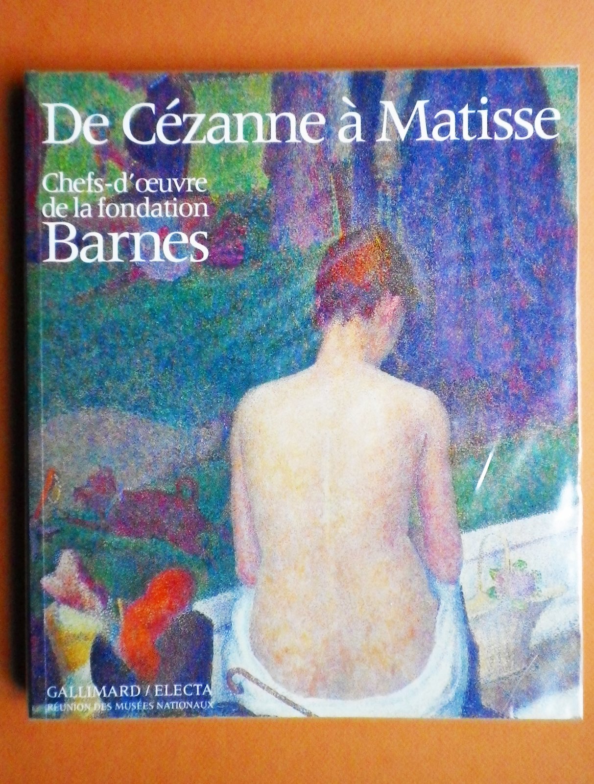 De Cézanne à Matisse : chefs-d'oeuvre de la Fondation Barnes Books