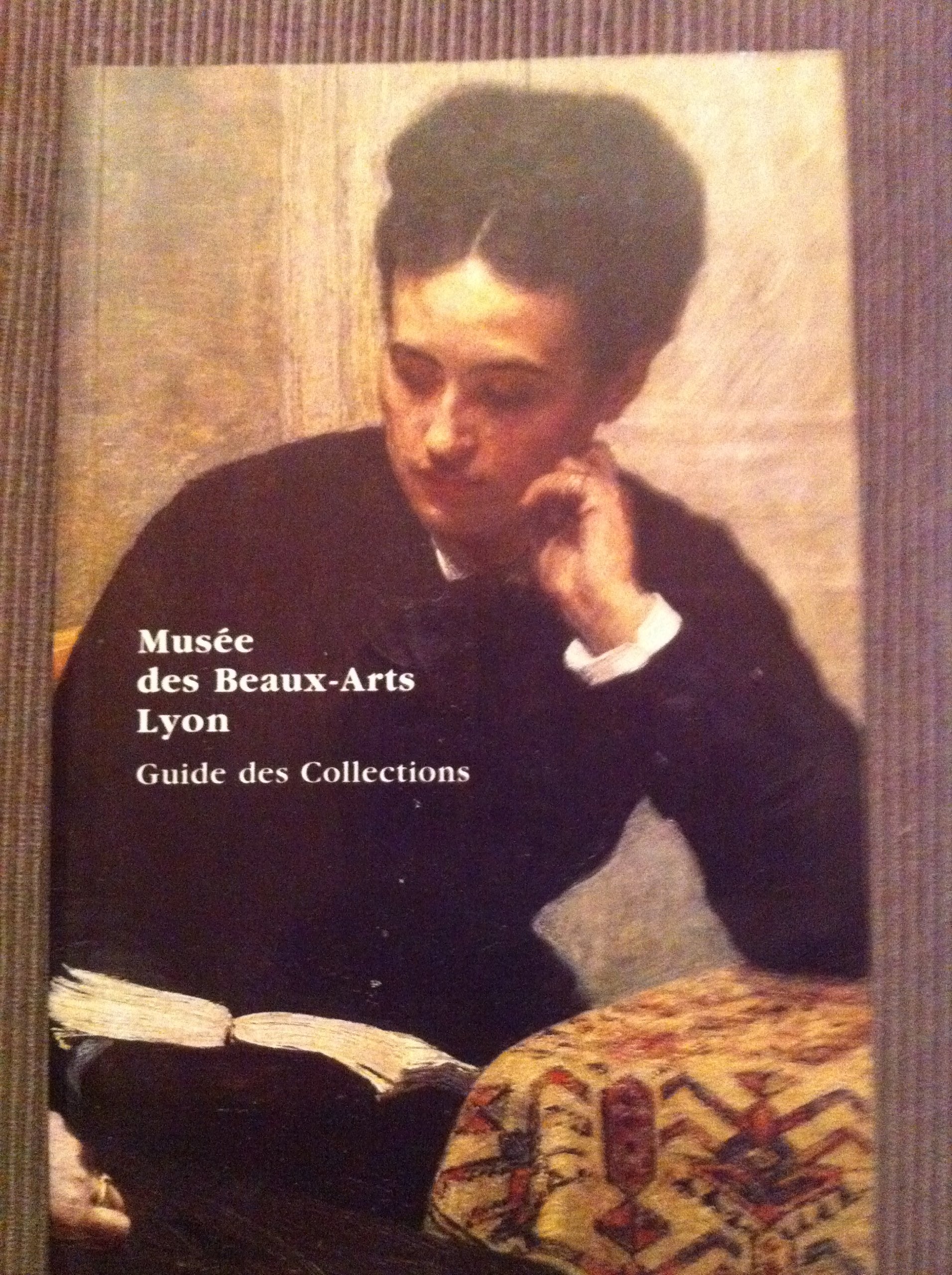Musee des beaux arts de lyon (Distrib Guid) Books