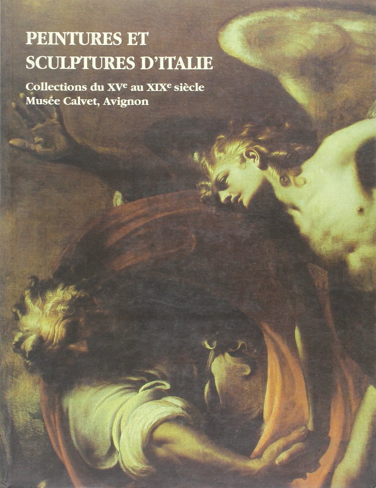 PEINTURES ET SCULPTURES D'ITALIE - MUSEE CALVET, AVIGNON: COLLECTIONS DU XVE AU XIXE SIECLE book