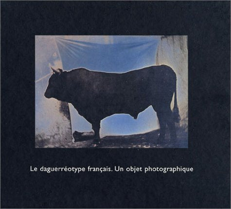 La Daguerréotype français. Un objet photographique book