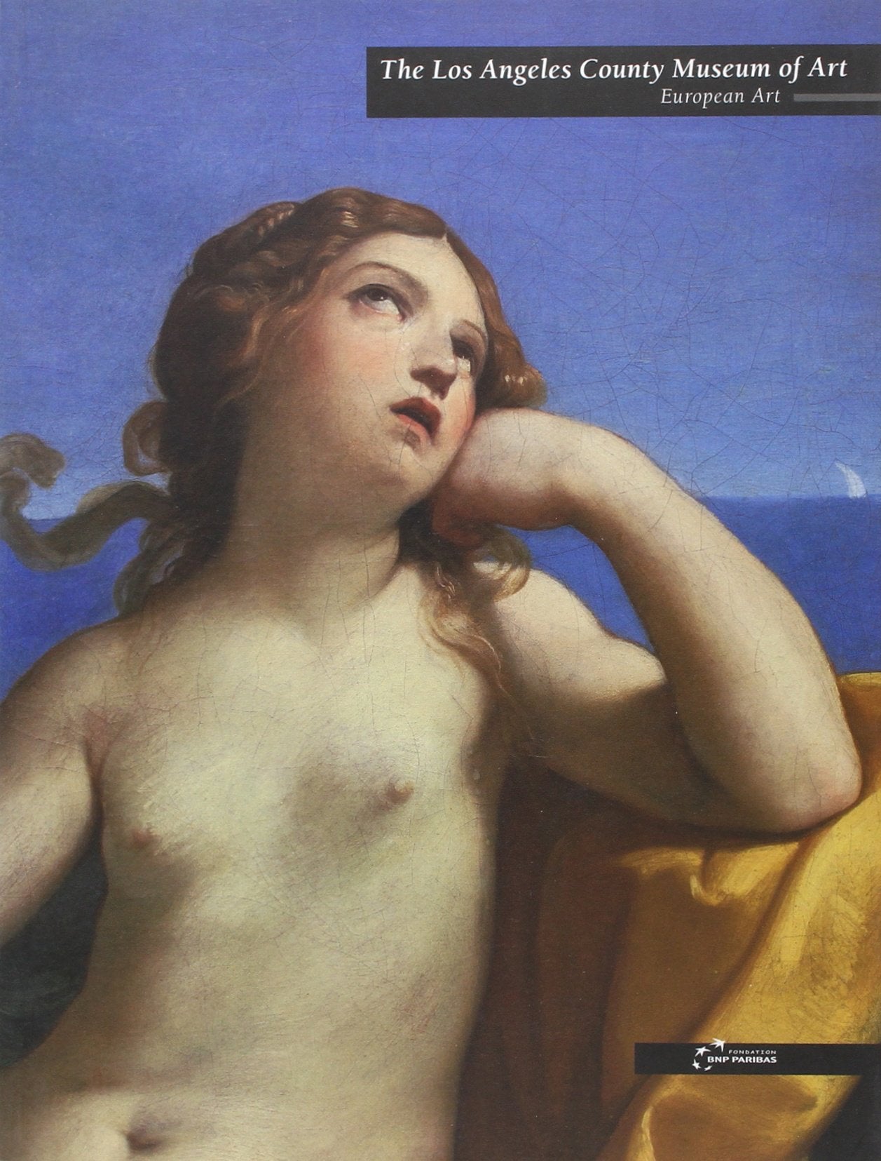 LOS ANGELES COUNTY MUSUEM OF ART, EUROPEAN ART ((ANGLAIS) book