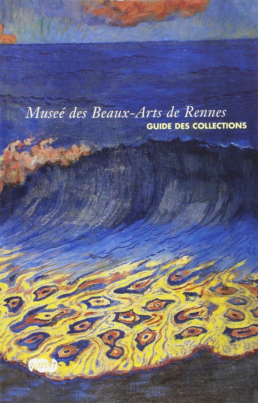 MUSEE DES BEAUX ARTS DE RENNES-GUIDE DES COLLECTIONS book