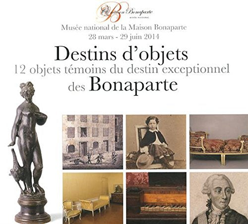 destin d'objets des bonaparte: 12 OBJETS TEMOINS DU DESTIN EXCEPTIONNEL DES BONAPARTE book