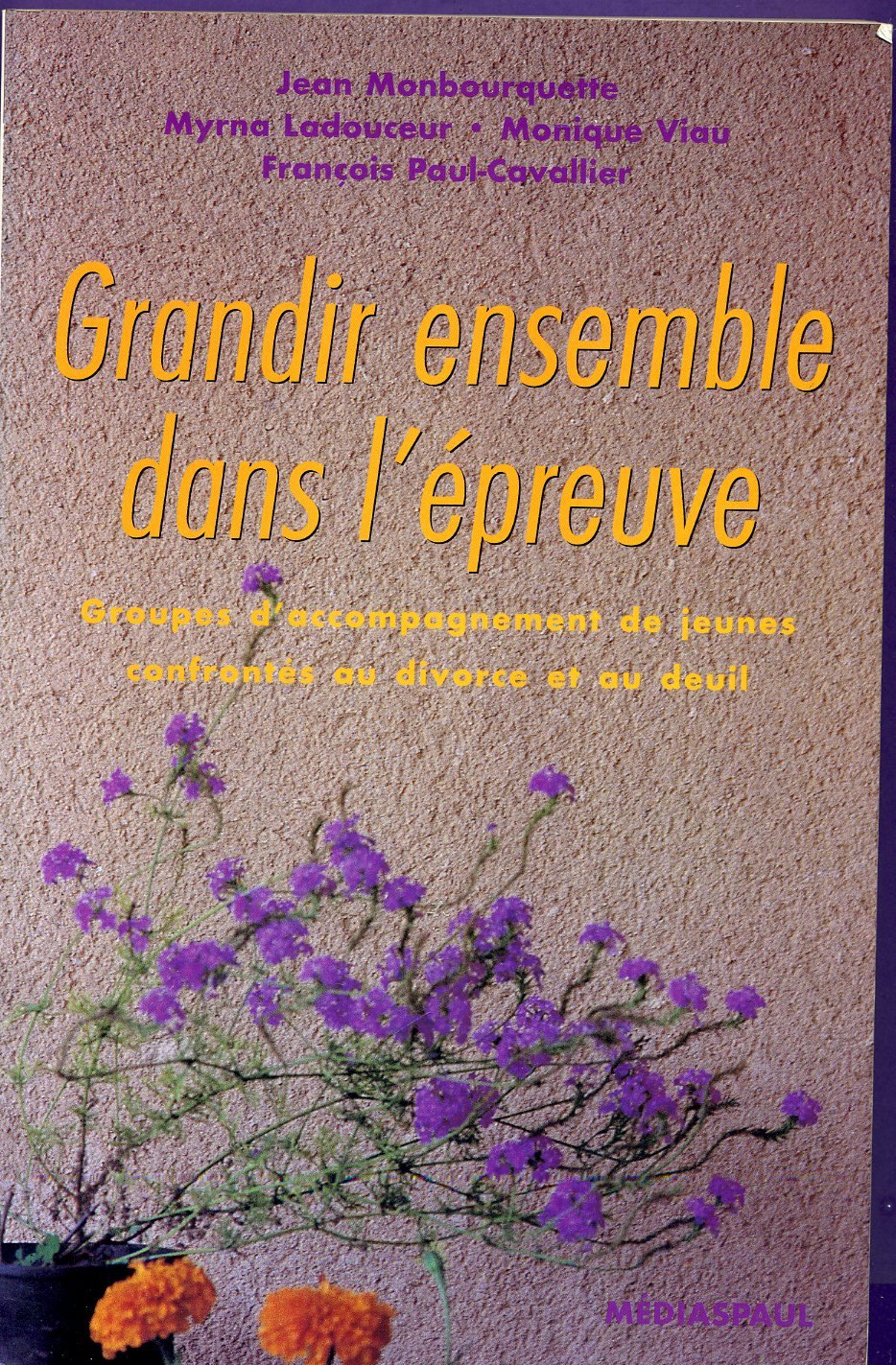 Grandir ensemble dans l'épreuve: Groupes d'accompagnement de jeunes confrontés au divorce et au deuil Books