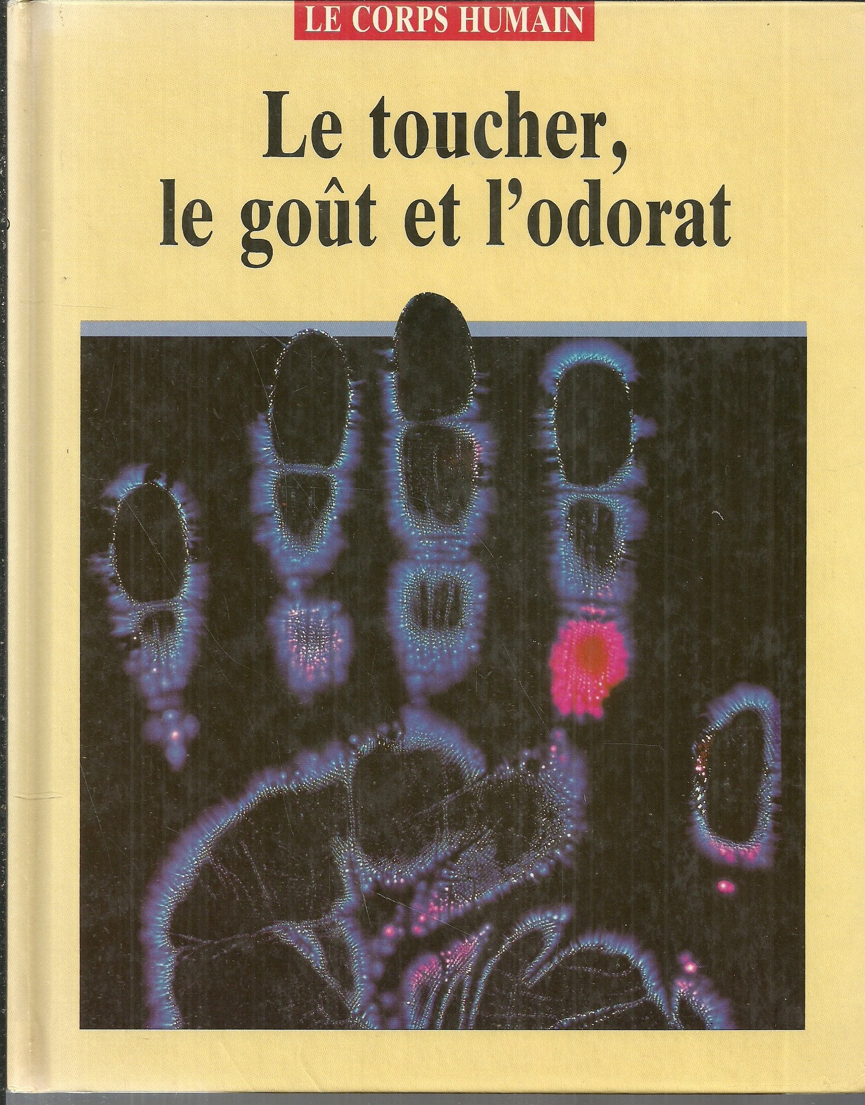 Le Toucher, le goût et l'odorat book