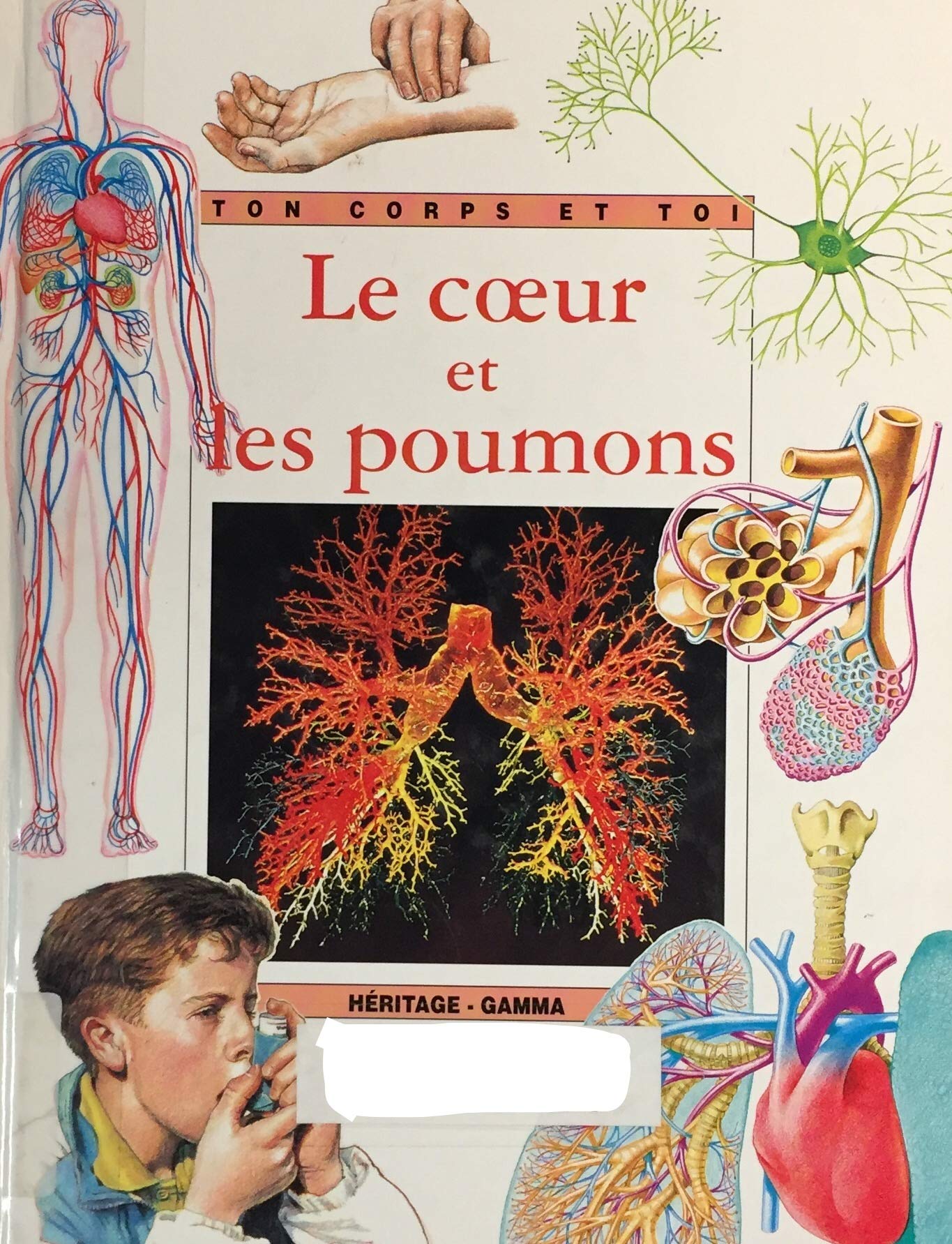 Le coeur et les poumons book