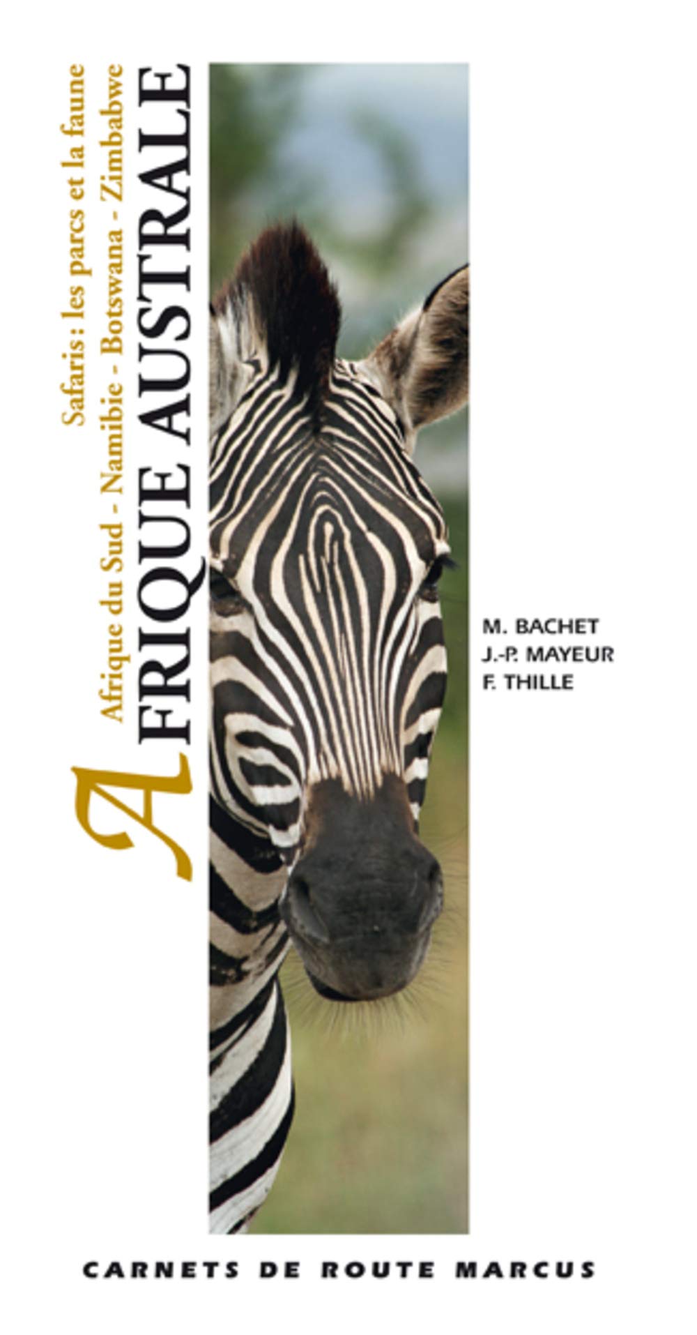 Afrique australe: Afrique du Sud - Namibie - Botswana - Zimbabwe book