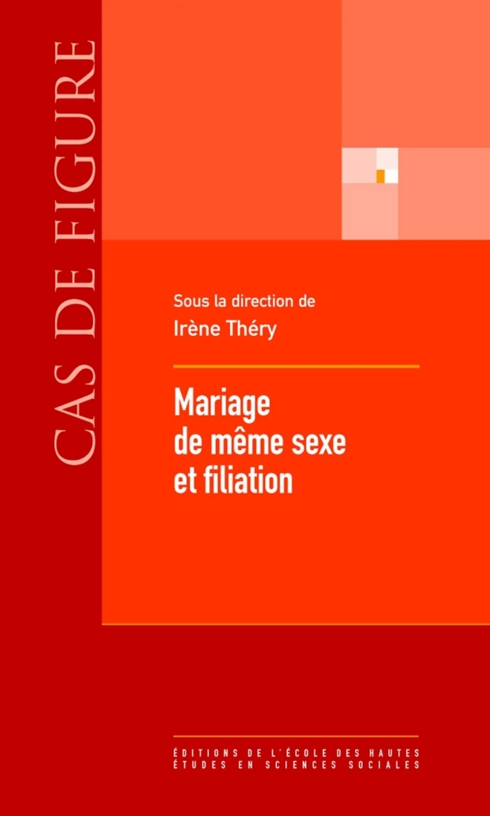 Mariage de même sexe et filiation book