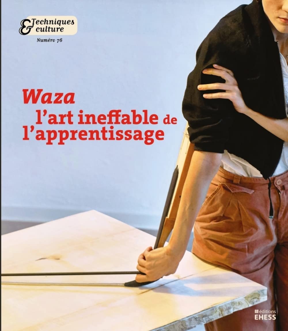 Waza. L'art ineffable de l'apprentissage Social Sciences