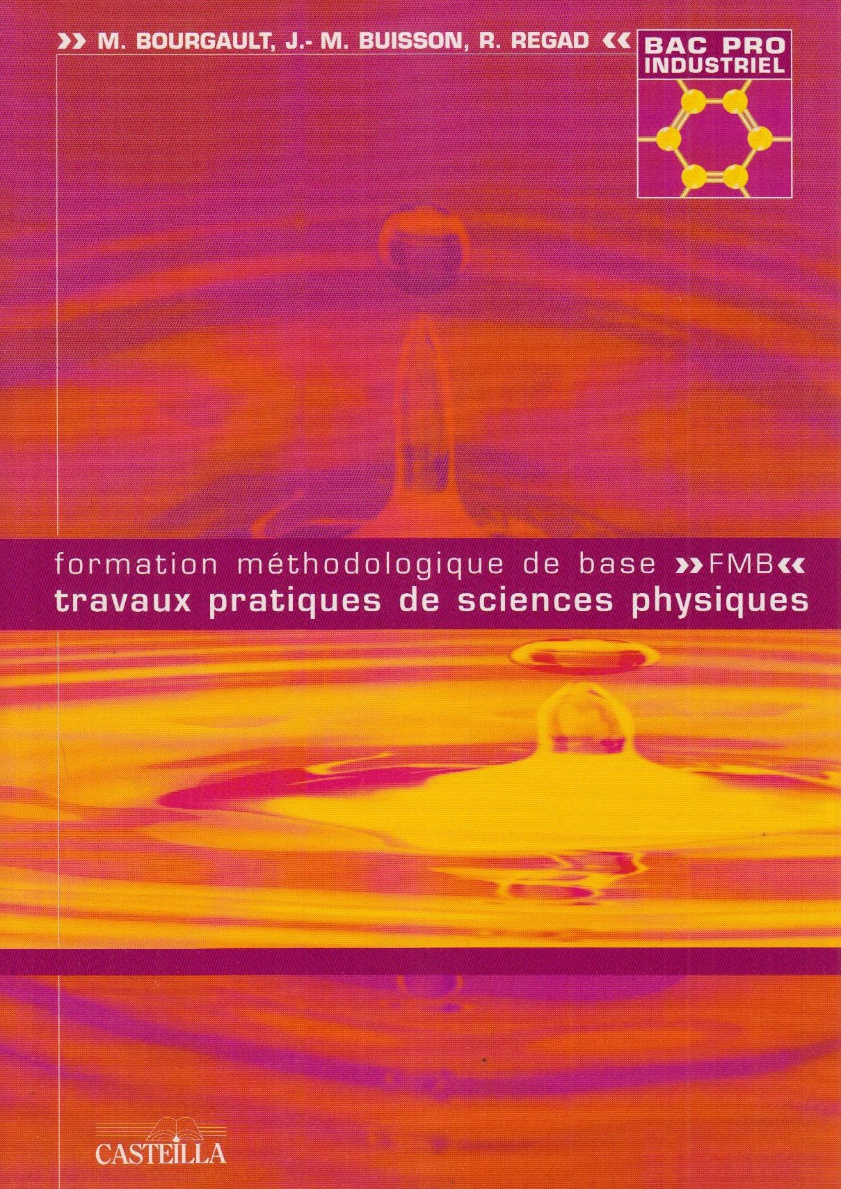 Formation méthodologique de base, travaux pratiques de sciences physiques: Bac Pro industriel book