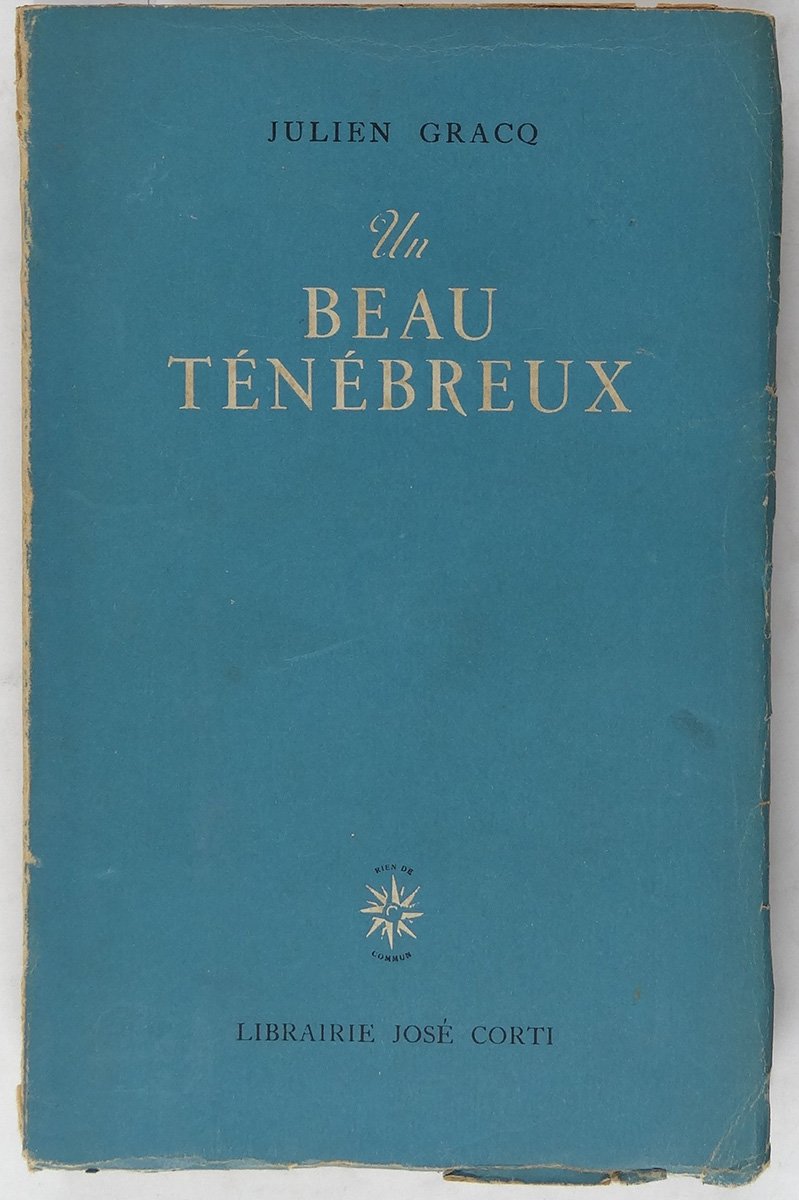 Un beau ténébreux. book
