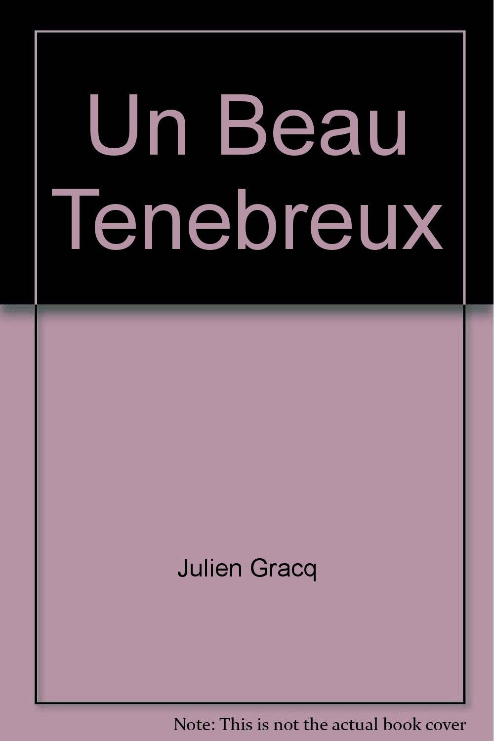 UN BEAU TENEBREUX book