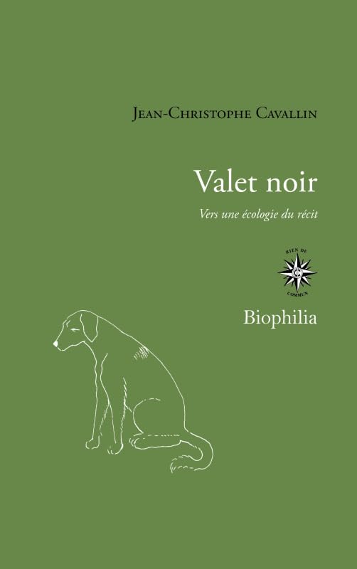 Valet noir: Vers une écologie du récit book