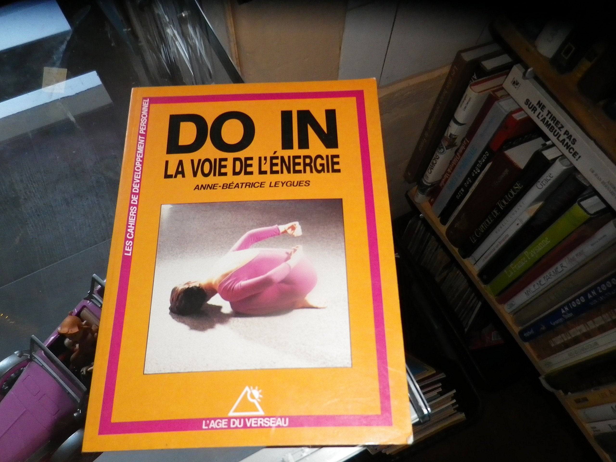 Do in, la voie de l'energie book