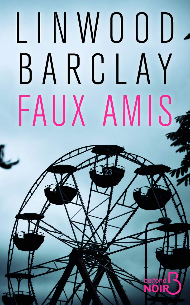 Faux amis book