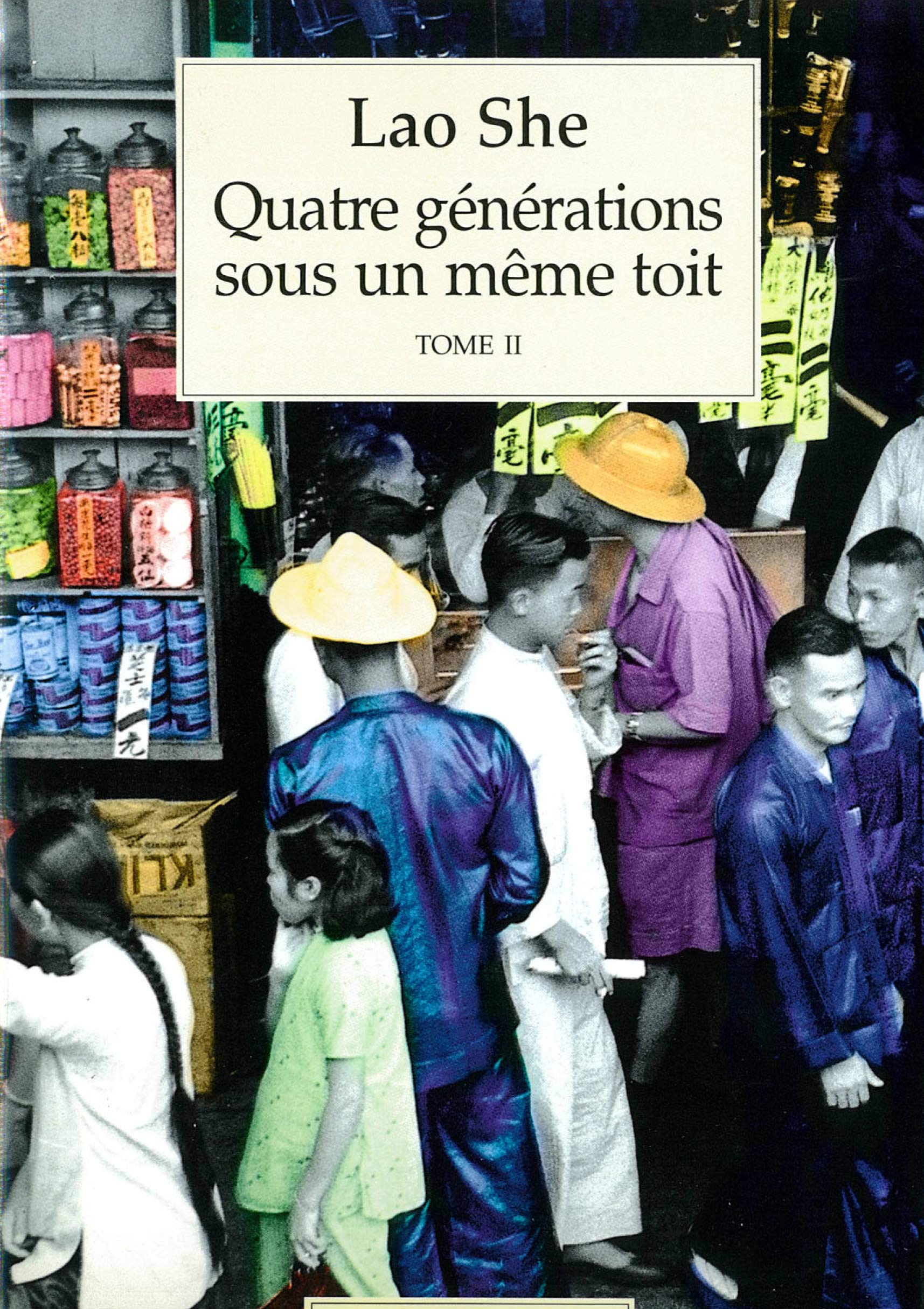 Quatre générations sous un même toit: Survivre à tout prix (2) Contemporary literature