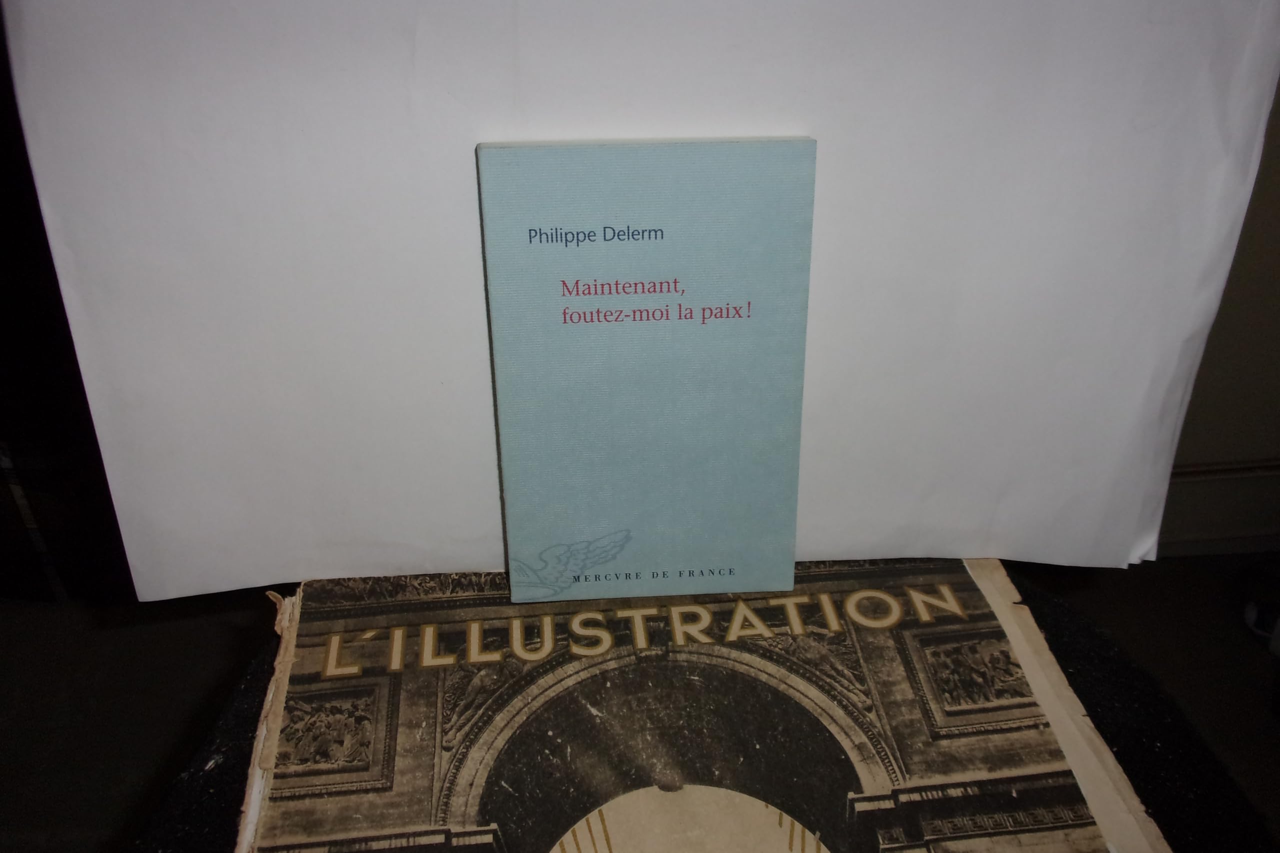 Maintenant, foutez-moi la paix ! Contemporary literature