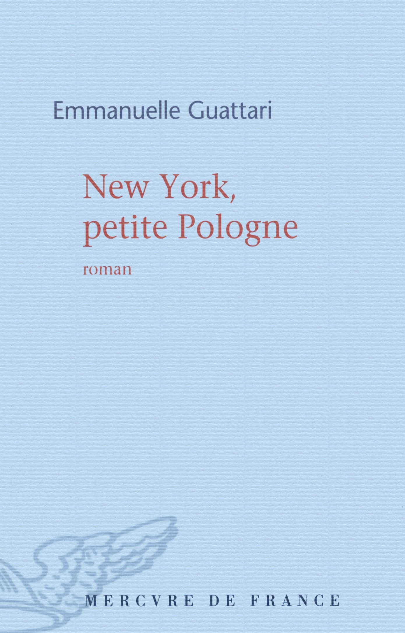 New York, petite Pologne book
