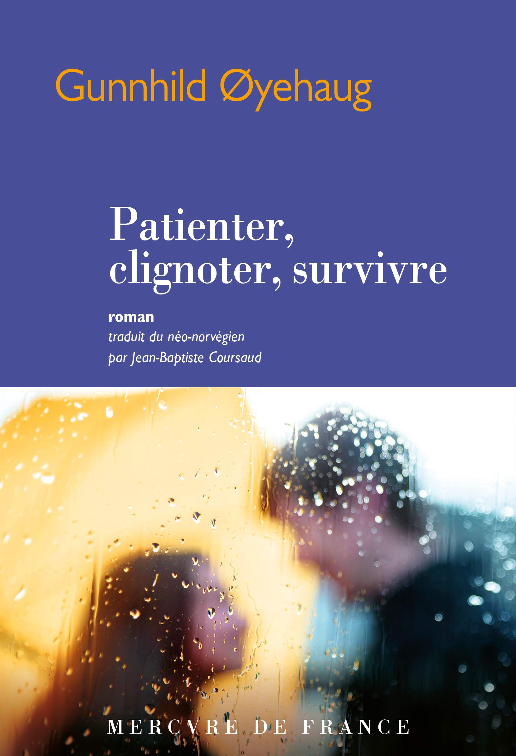 Patienter, clignoter, survivre Contemporary literature