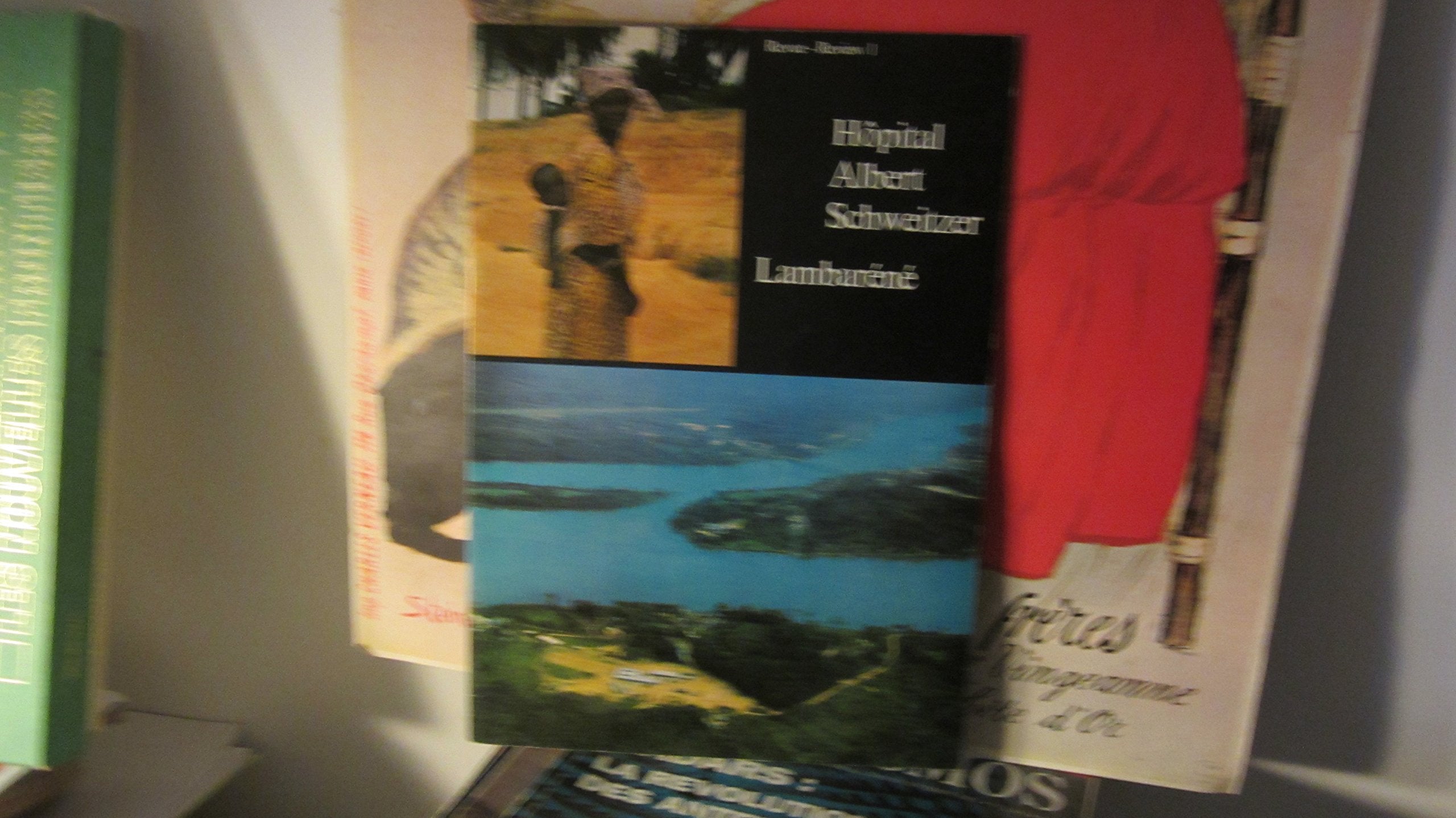 Albert Schweitzer construit l'hôpital de Lambaréné book