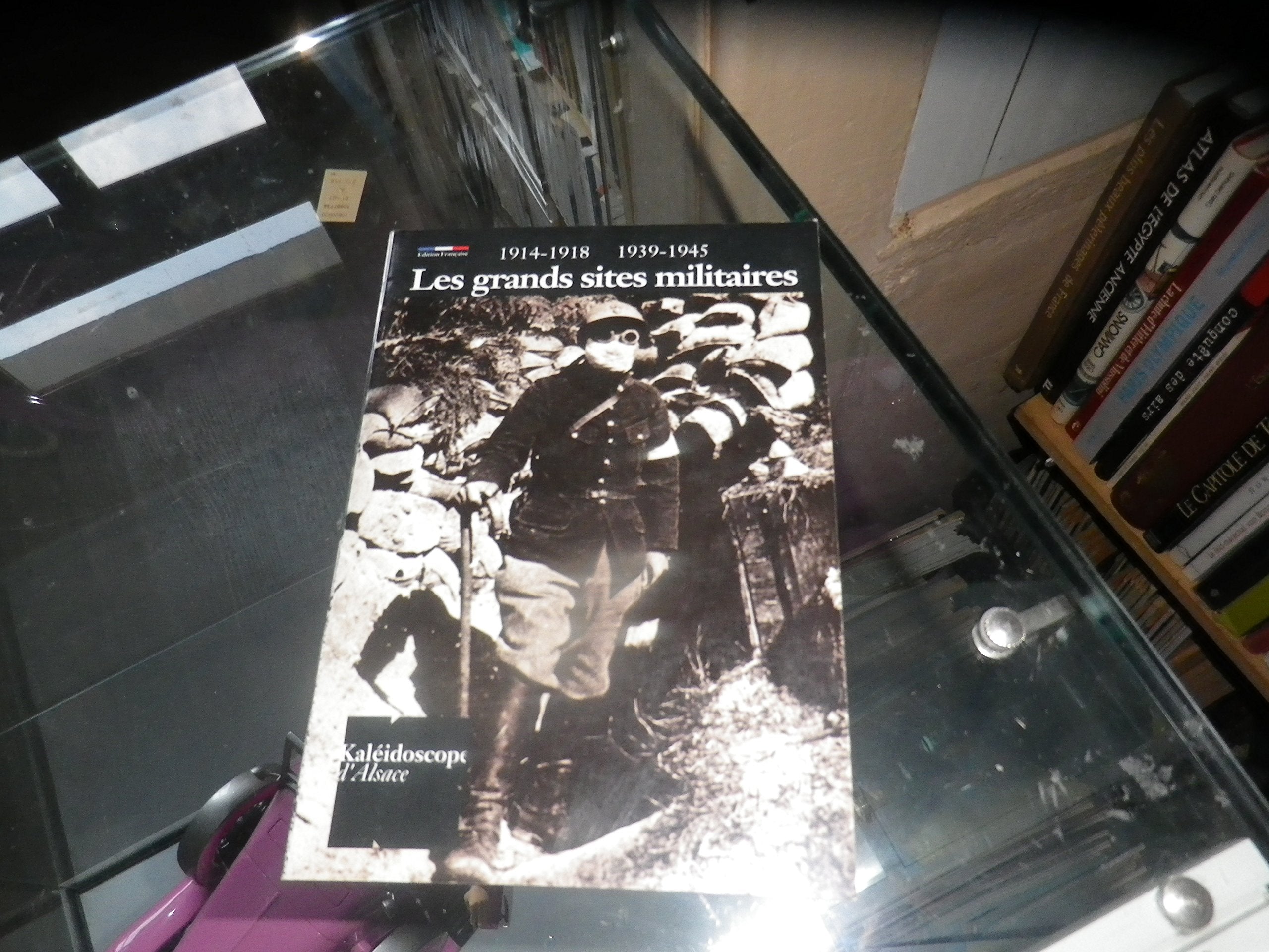 Sites militaires en Alsace : Le Linge, Le Vieil-Armand, La Tête des Faux, Le Schoenenbourg, Esch, Marckolsheim, Grassersloch, Le Struthof book