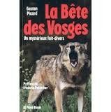 La bête des Vosges : Un mystérieux fait-divers book