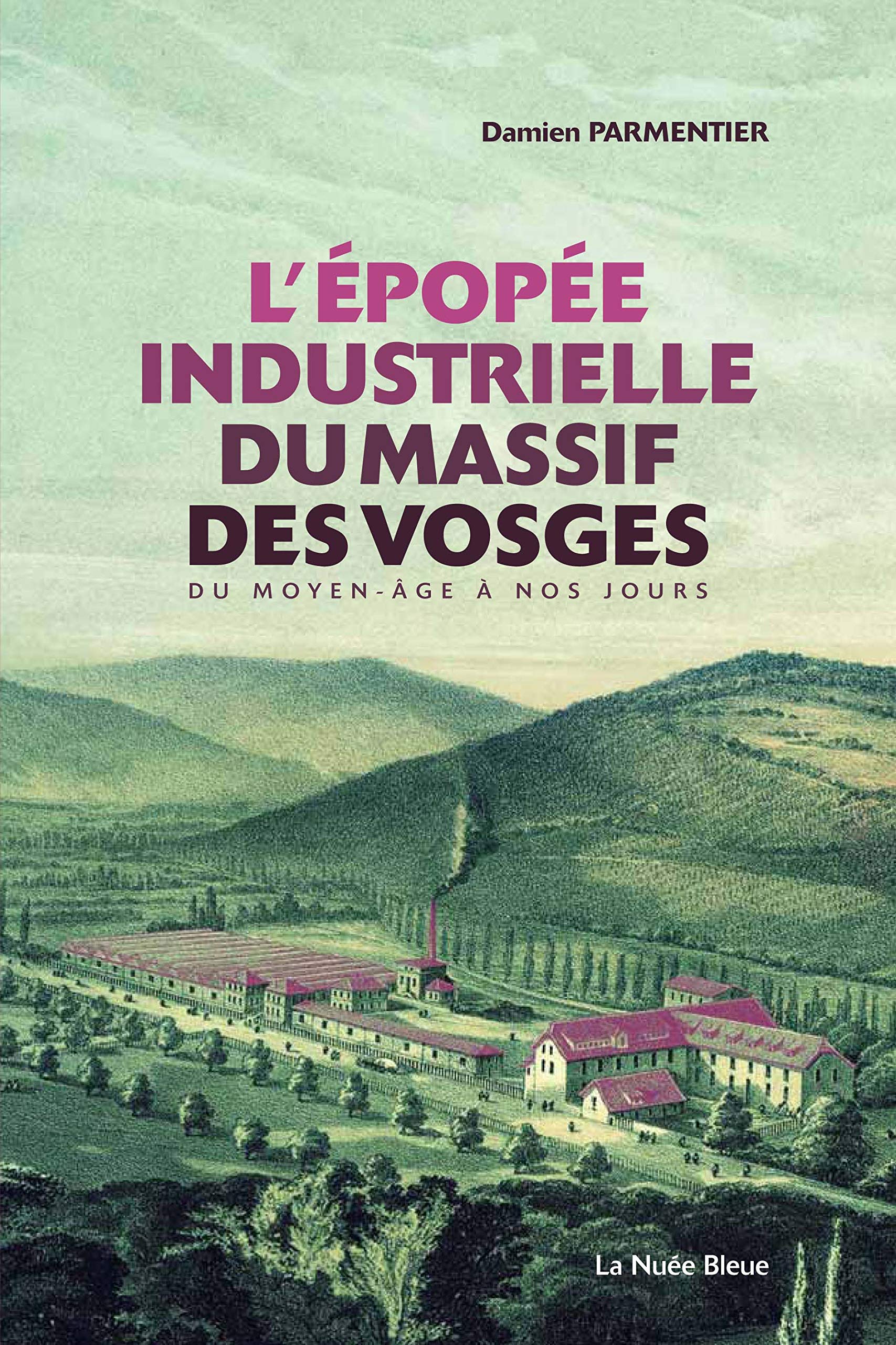 L'épopée industrielle des Vosges book