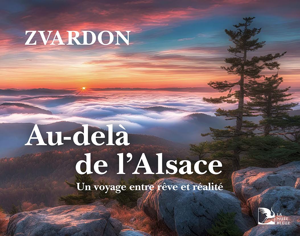 Au-delà de l'Alsace: Un voyage entre rêve et réalité book
