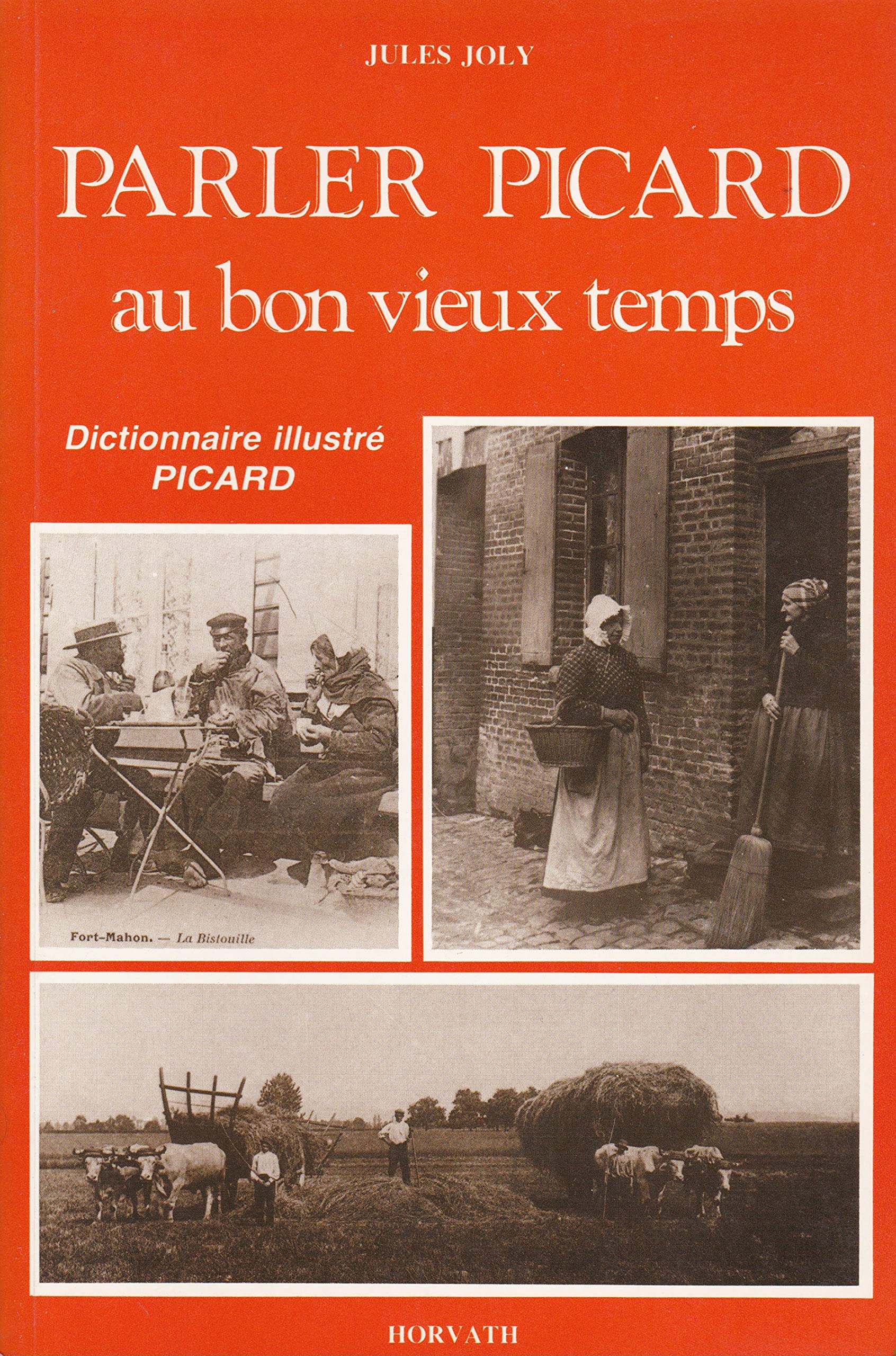 Parler picard au bon vieux temps : Dictionnaire illustré picard Books