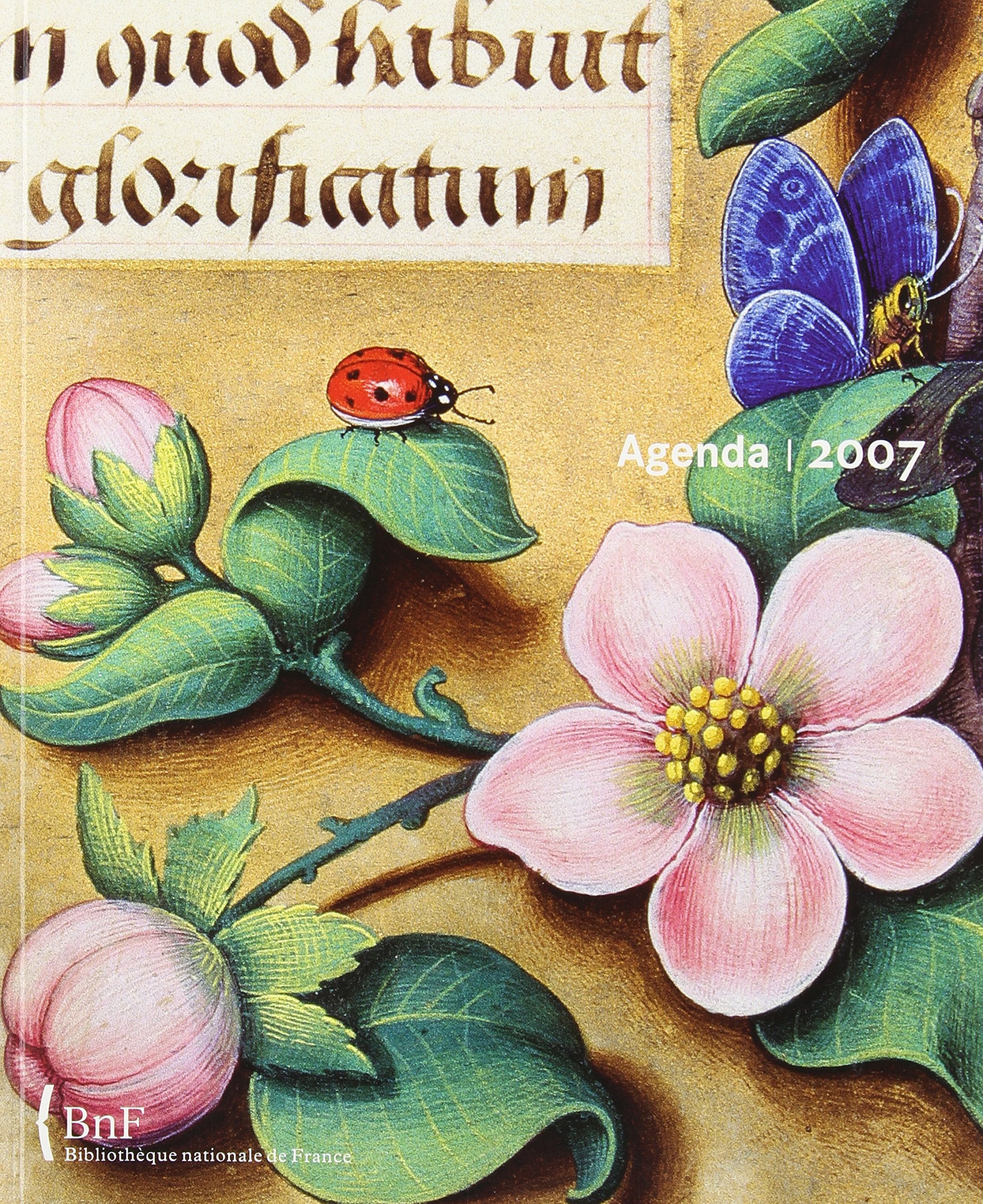 Les grandes heures d'Anne de Bretagne : Agenda 2007 Books