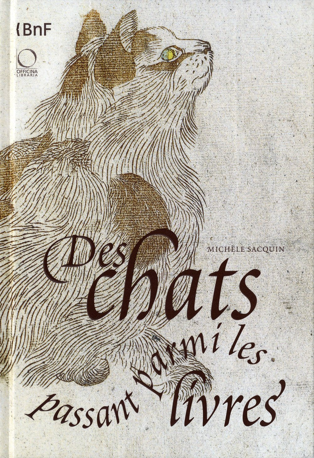 Des chats passant parmi les livres Books