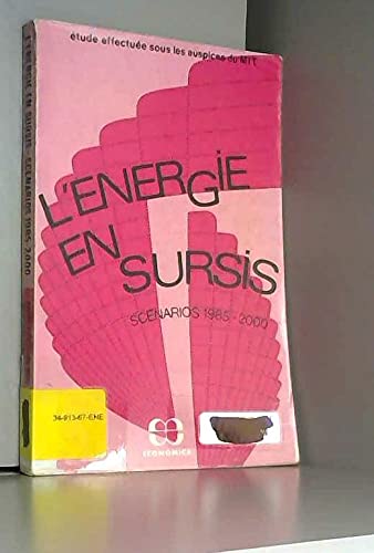 L'Energie en sursis, scénarios 1985-2000 : Rapport du Waes book