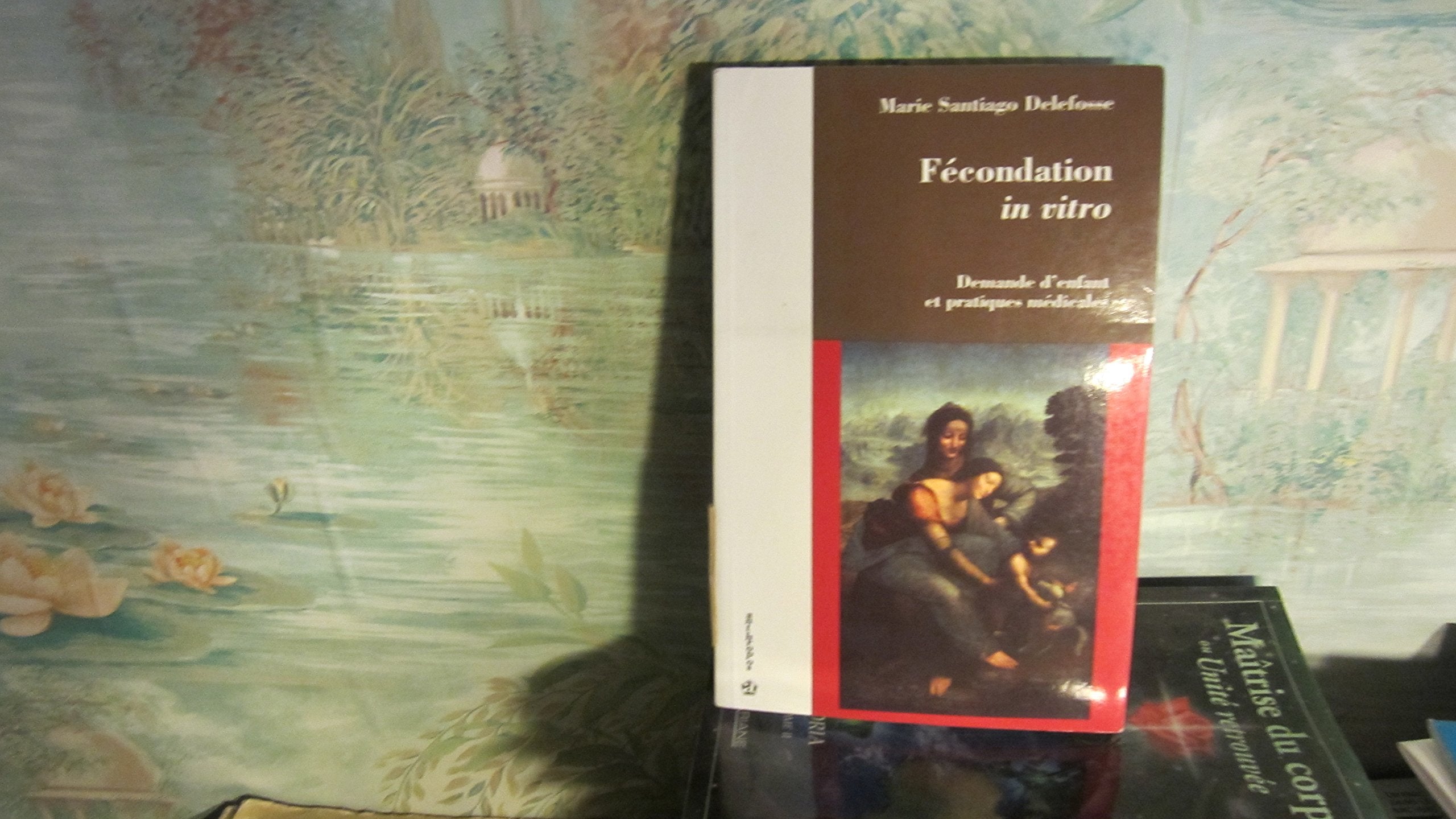 Fécondation in vitro - Demande d'enfant et pratiques médicales book