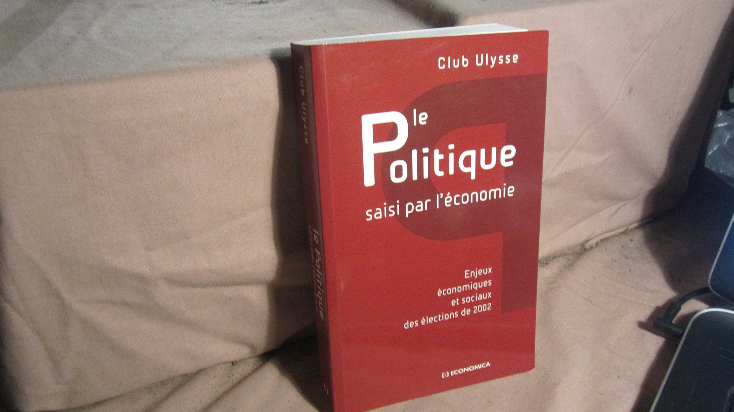 Le Politique Saisi Par L'Economie. Enjeux Economiques Et Sociaux Des Elections De 2002 book