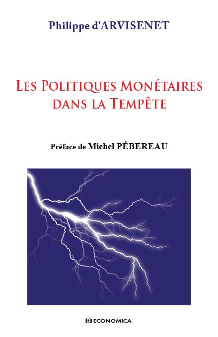 Politiques Monetaires Dans la Tempête (les) book
