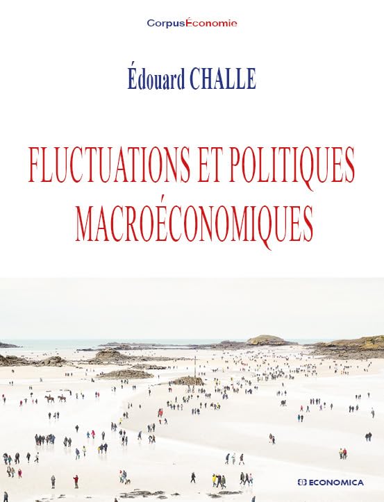 Fluctuations et politiques macroéconomiques book