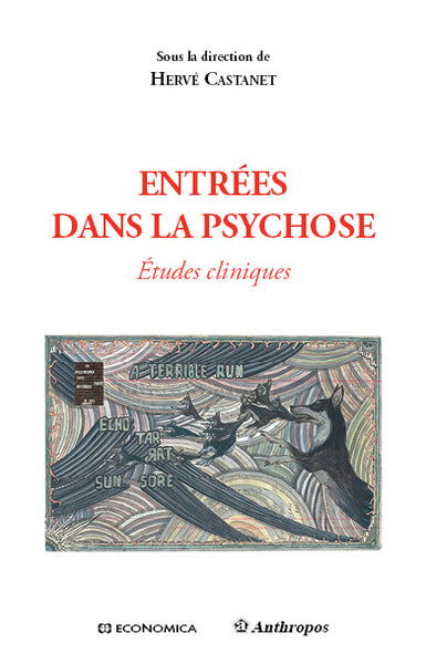 Entrées dans la psychose : études cliniques book