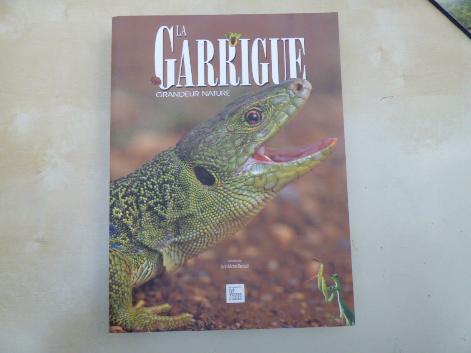 La garrigue : grandeur nature Leisure & Fun