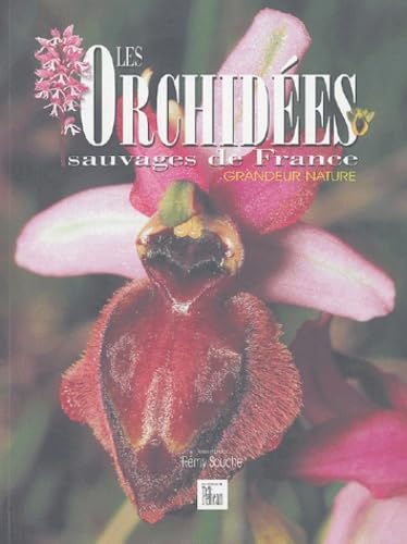 Les orchidées sauvages de France : grandeur nature Leisure, Home & Garden
