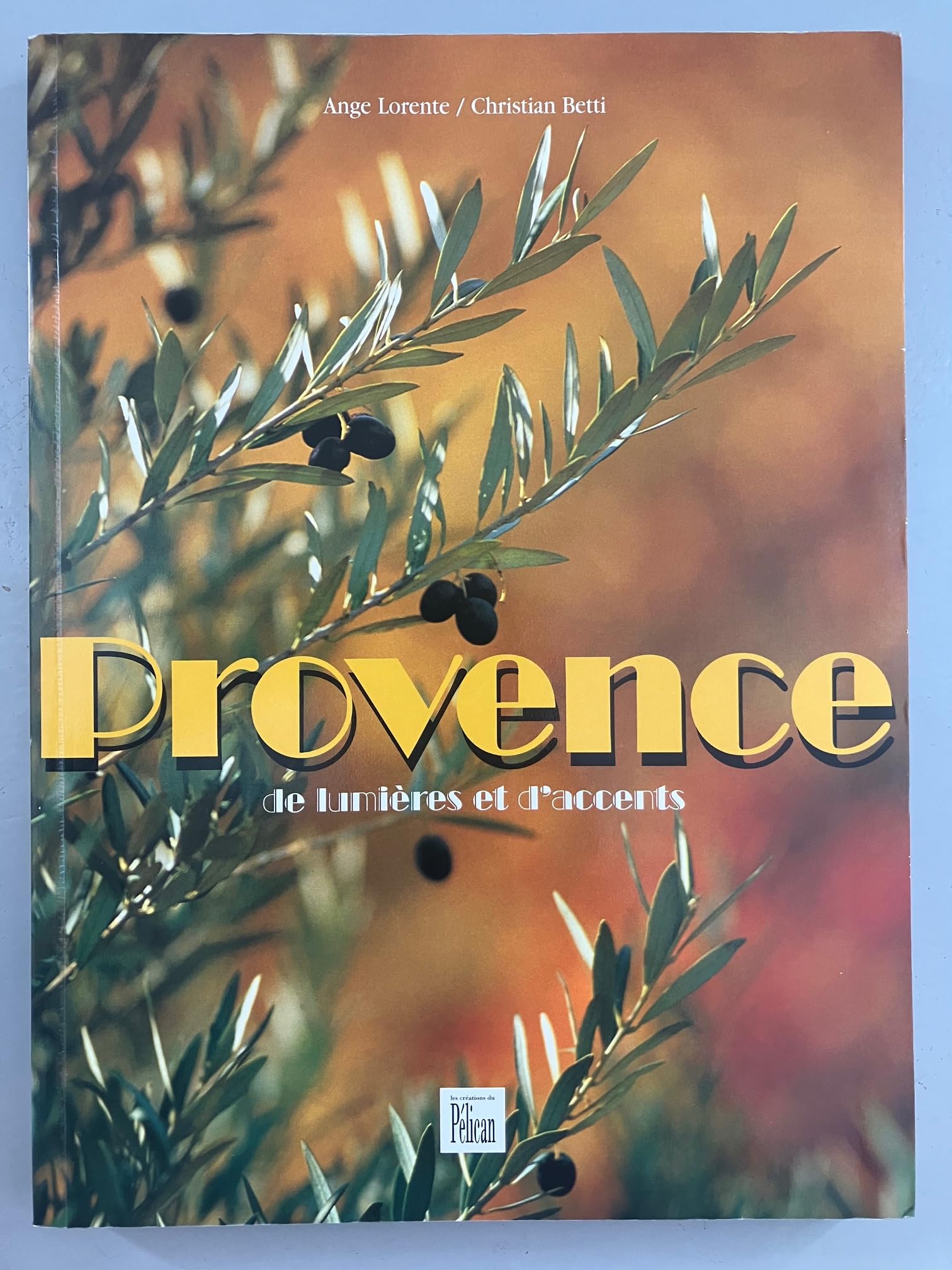 Provence : De lumières et d'accents book