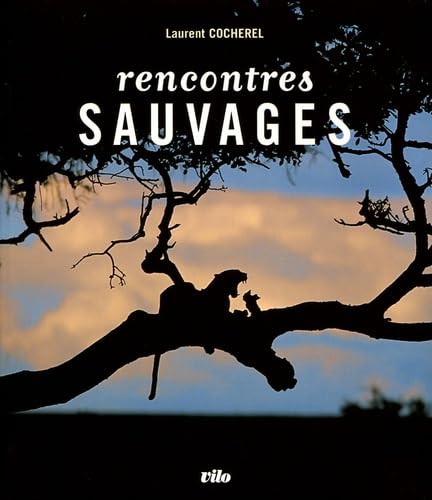 Rencontres sauvages: Face à face avec la grande faune Books