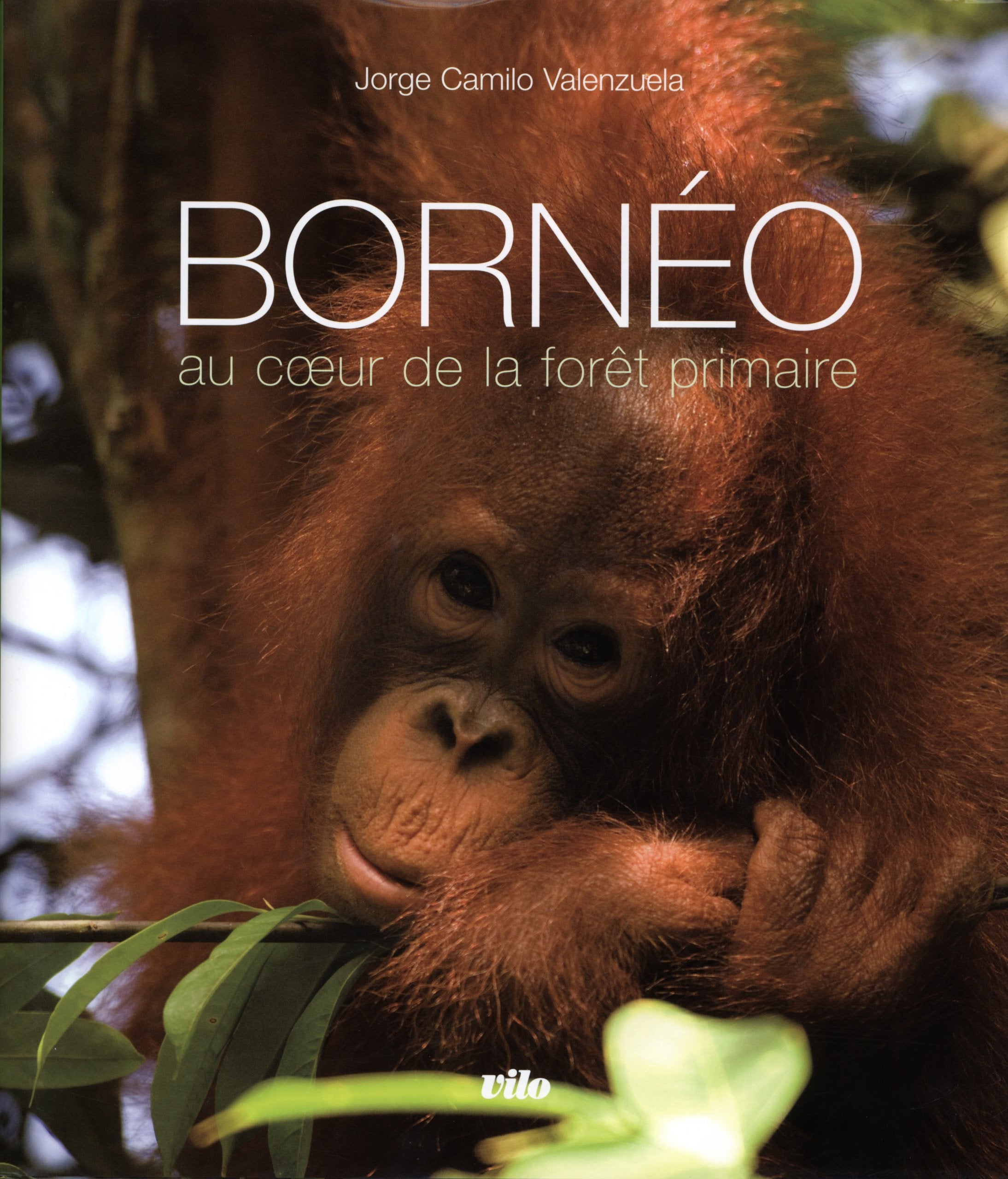 Bornéo: Au coeur de la forêt primaire Books